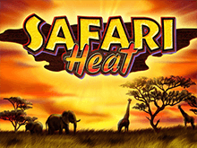 Азартная игра Safari Heat